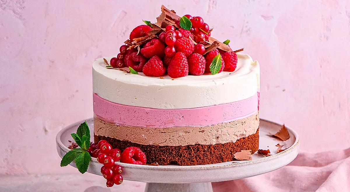 23ea0858-d66b-4ac6-bb0c-df7a7c213bb7.webp