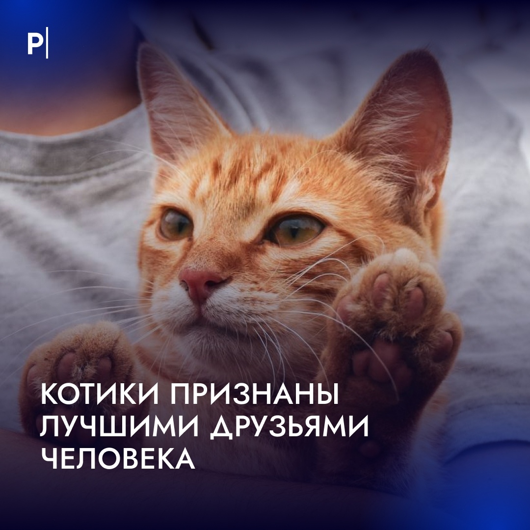 GkXXUftMNAehbGOq5YYcIkcB8jJssI6GonZXow8RqQL7rmC5WTt_QaGy455ZU981zR36Ay0XbSr9JTfWhvU9Gyj2.jpg